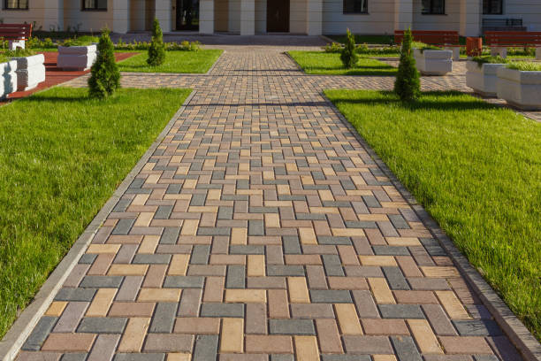 Reasons to Select Us for Your Driveway Paving Requirements in Ham Lake, MN